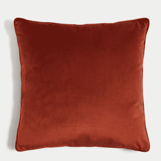 Velvet Piped Cushion